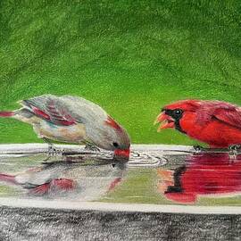 Cardinals by Marlene Little