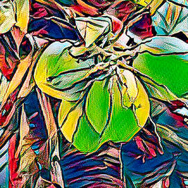 Caribbean nuts by Tatiana Travelways