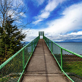 Carkeek Park Walkway by Tommy Farnsworth