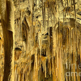 Carlsbad Caverns Endless Stalagmites  by Adam Jewell