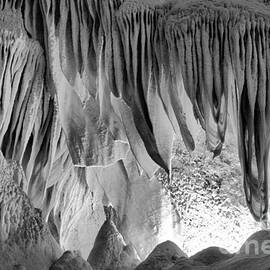 Carlsbad Caverns Whale Mouth Formation Black And White by Adam Jewell