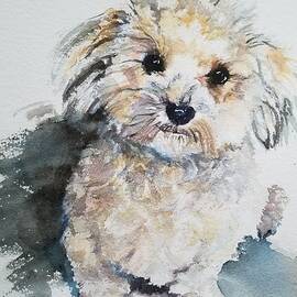 Carmina  by Amanda Amend