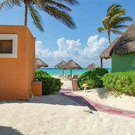 Caribbean Peek-a-Boo by William Scott Koenig
