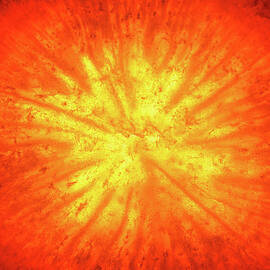Carrot Sunburst by Steven Nelson