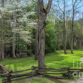 Carter Shields Cabin by Jimmy Pappas