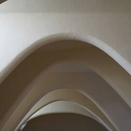 Casa Batllo Curves by Richard Reeve