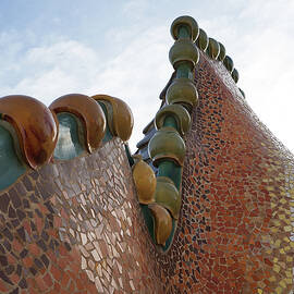 Casa Batllo Dragon Back by Richard Reeve