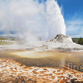 Castle Geyser, Yellowstone national park, Wyoming, USA by Neale And Judith Clark