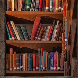 Castle Library Room Books by Susan Candelario