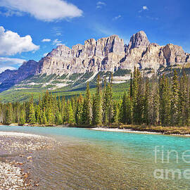 Castle Mountain and the Bow river, Banff National Park, Alberta, Canada by Neale And Judith Clark