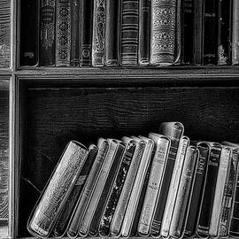 Castle Study BW by Susan Candelario