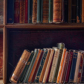 Castle Study by Susan Candelario