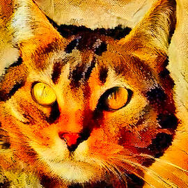 Cat with Butterfly texture by Bruce Block