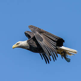 Catch by James Overesch