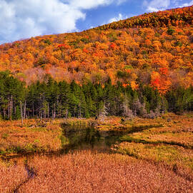 Catskills NY In The Fall  by Susan Candelario