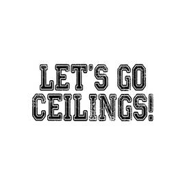 Ceiling Fan Halloween Costume by Flippin Sweet Gear