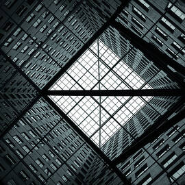 Ceiling of Light by Dave Bowman