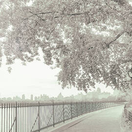Central Park Reservoir IR by Jessica Jenney
