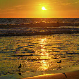 Cerritos Beach Sunset Mazatlan Mexico by Tommy Farnsworth