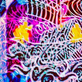 Cgy- Vibrant Abstract Patterns and Colors