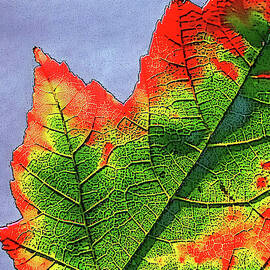 CHANGE by Randall Dill