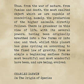 Charles Darwin Quote - On The Origin of Species - Inspiring Quotes - Typewriter Print on Old Paper by Studio Grafiikka