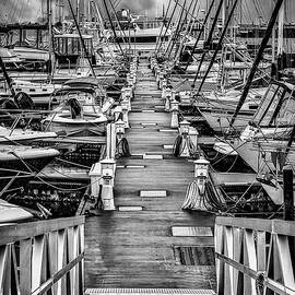 Charleston Harbor Marina SC BW by Susan Candelario