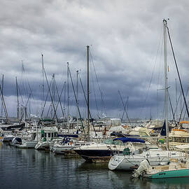 Charleston Harbor Marina by Susan Candelario