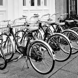 Charleston SC Bicycles BW by Susan Candelario