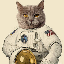 Chartreux cat portrait by Madame Memento