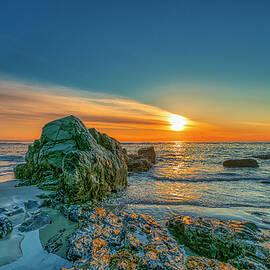 Chasing the Light by Penny Polakoff