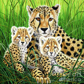Cheetah And Her Cubs Lying In Grass by R G Finney