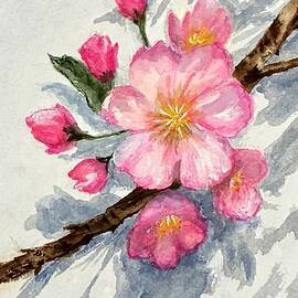 Cherry Blossom Branch by Judy Strickland