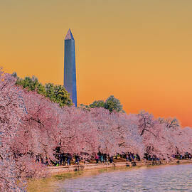 Cherry Blossom Festival by Bruce Block