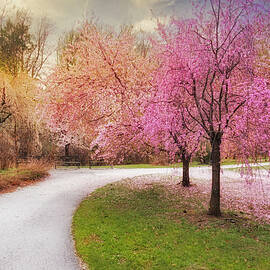 Cherry Blossom Path by Susan Candelario