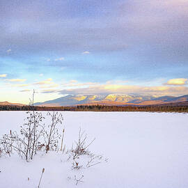 Cherry Pond, Winter by Jeff Sinon
