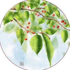 Cherry Tree Branch by Snow Iris Studio