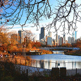 Chicago Skyline And Pond With Fall Trees by Patrick Malon