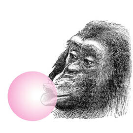 Chimpanzee with pink bubblegum by Madame Memento