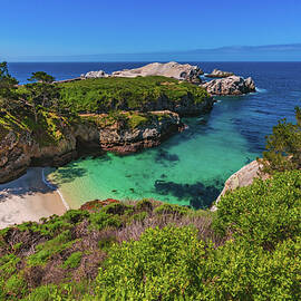 China Cove and Bird Island 2, Point Lobos, California by Abbie Warnock