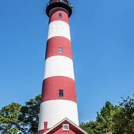 Chincoteague Island  Light House by Louis Dallara