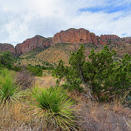 Chisos Mountains Landscape by Michael Collins