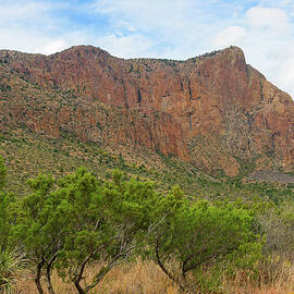 Chisos Mountains Landscape View by Michael Collins