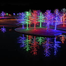 Christmas Forest Reflection by Ron Long Ltd Photography