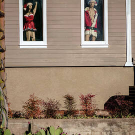 Christmas is Different in Arizona by Mary Lee Dereske