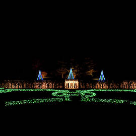 Christmas Tree Lights by Louis Dallara