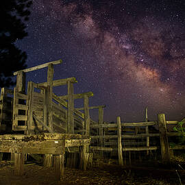 Chuting Stars by Mike Lee