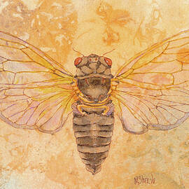 Cicada by Marie Stone-van Vuuren