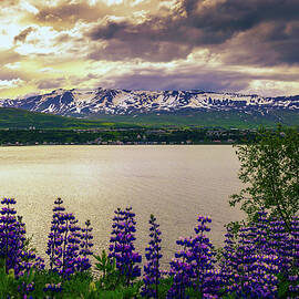 City of Akureyri with snowy mountains and fjord Eyjafjordur in northern Iceland by Miroslav Liska