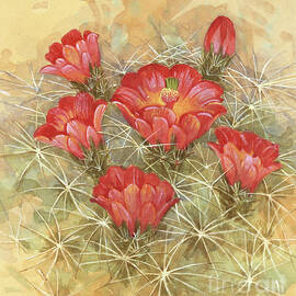 Claret Cup Cactus by Gordon Beningfield